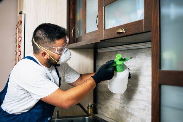 Best Wildlife Control Services  in North Fork, CA