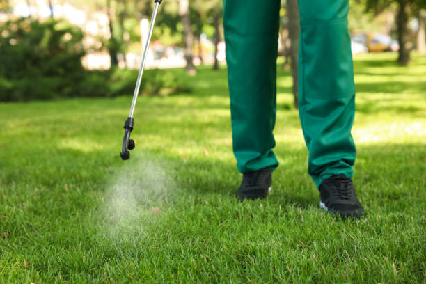 Professional Pest Control in North Fork, CA
