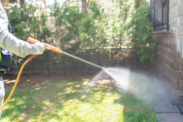 Best Cockroach Control Services  in North Fork, CA