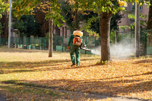 Best Pest Control for Businesses  in North Fork, CA
