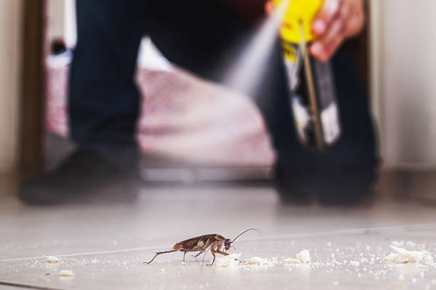 Best Pest Removal Services  in North Fork, CA