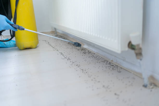 Best Best Pest Control Companies  in North Fork, CA