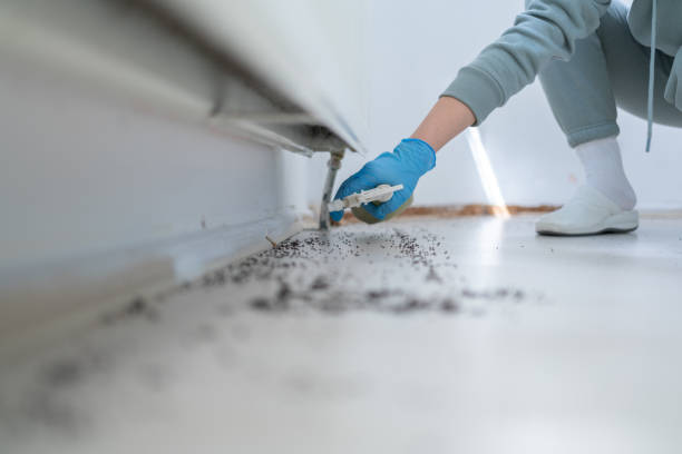 Best Best Pest Control Companies  in North Fork, CA