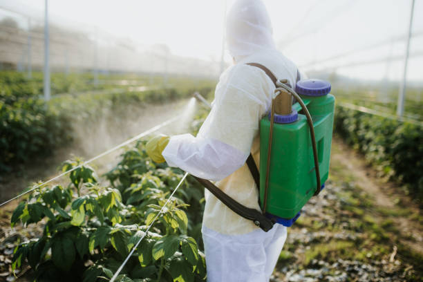 North Fork, CA Pest Control Company